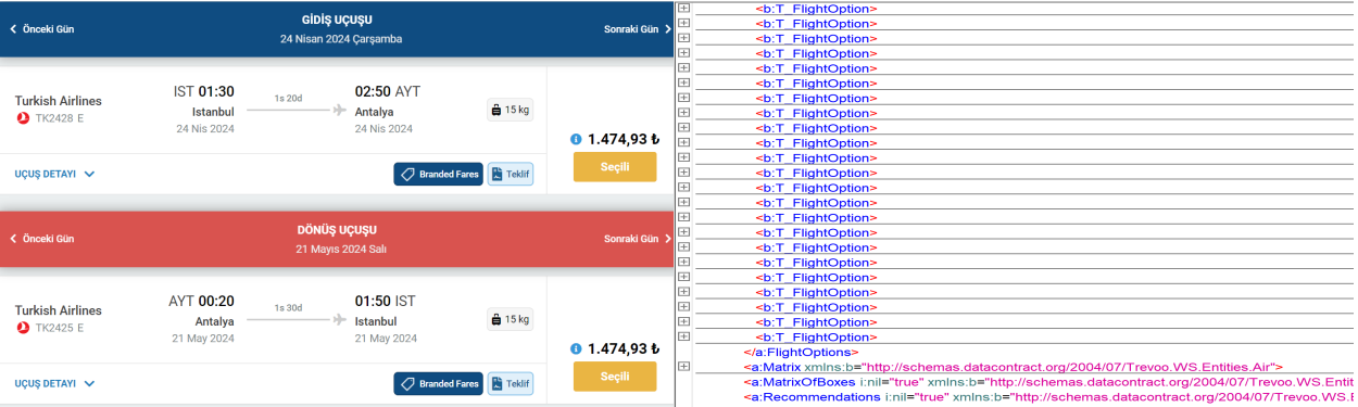 flight_optionssa.png